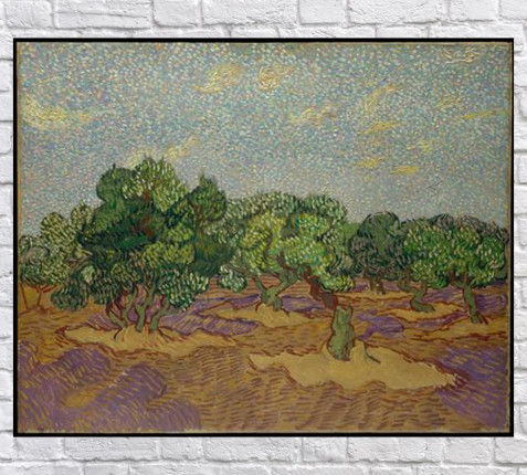 ОЛИВКОВАЯ РОЩА — OLIVE TREES